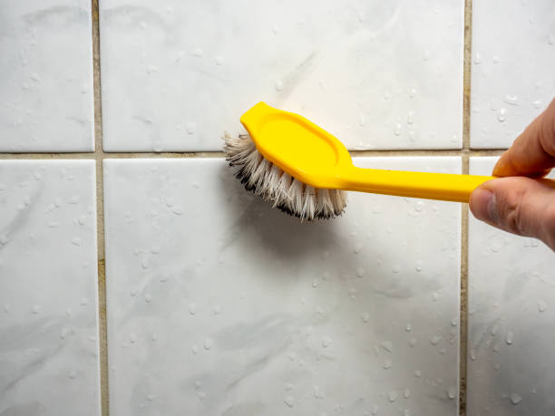 Best Affordable Mold Removal  in Turlock, CA