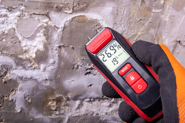 Best Home Mold Removal  in Turlock, CA