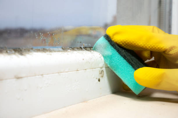 Crawl Space Mold Removal in Turlock, CA