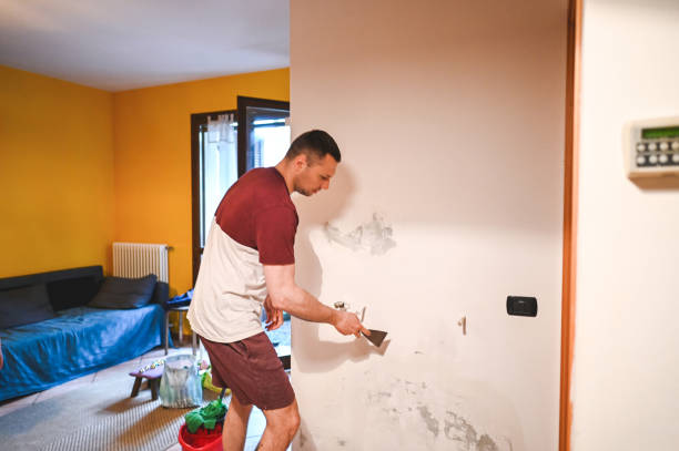 Best Residential Mold Removal  in Turlock, CA