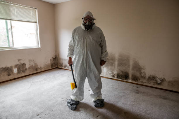 Best Mold Testing  in Turlock, CA