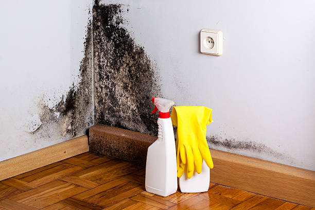 Best Emergency Mold Removal  in Turlock, CA
